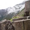 Macchu Picchu 013